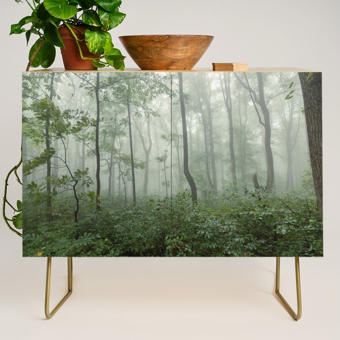 Smoky Mountain Summer Forest - National Park Nature Photography Credenza Gallery Image 1