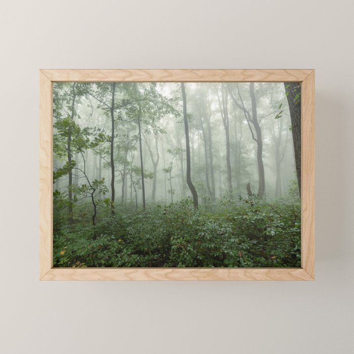 Smoky Mountain Summer Forest - National Park Nature Photography Mini Art Print Gallery Image 1