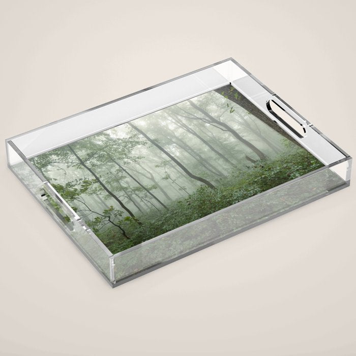 Smoky Mountain Summer Forest - National Park Nature Photography Acrylic Tray Gallery Image 1