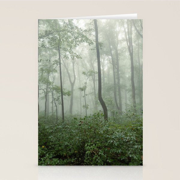 Smoky Mountain Summer Forest - National Park Nature Photography Stationery Card Gallery Image 2