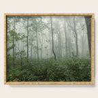 Smoky Mountain Summer Forest - National Park Nature Photography Serving Tray Gallery Image 1