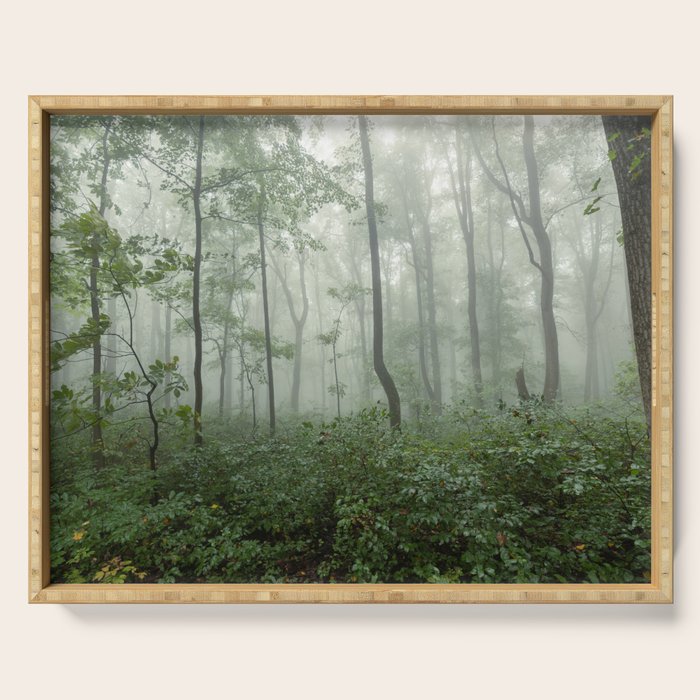 Smoky Mountain Summer Forest - National Park Nature Photography Serving Tray Gallery Image 1
