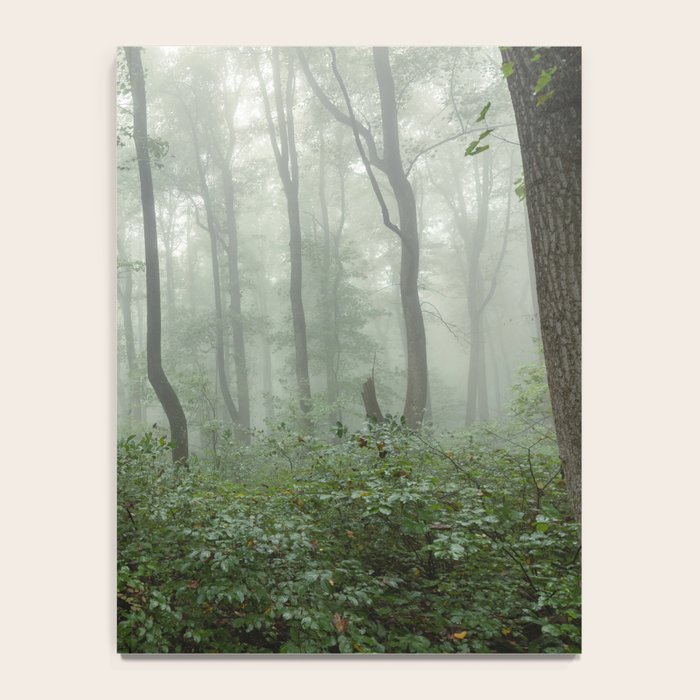 Smoky Mountain Summer Forest - National Park Nature Photography Notebook Gallery Image 4
