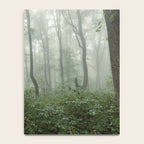Smoky Mountain Summer Forest - National Park Nature Photography Notebook Gallery Image 4