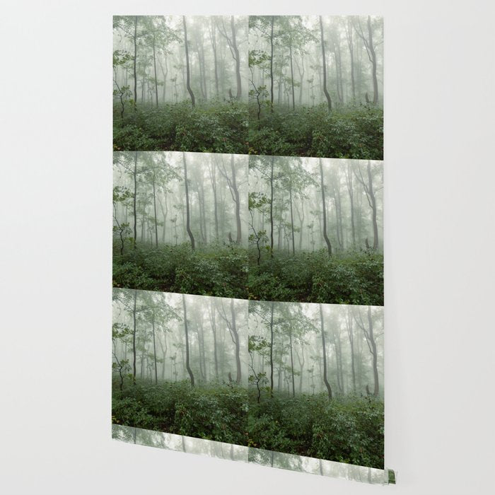 Smoky Mountain Summer Forest - National Park Nature Photography Wallpaper Gallery Image 2