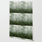 Smoky Mountain Summer Forest - National Park Nature Photography Wallpaper Gallery Image 2
