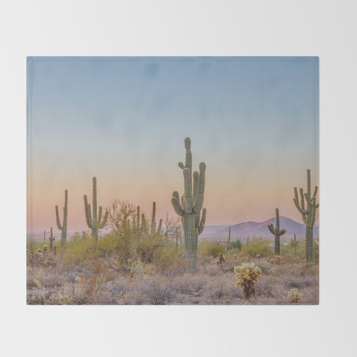 Desert / Scottsdale, Arizona Throw Blanket Gallery Image 2