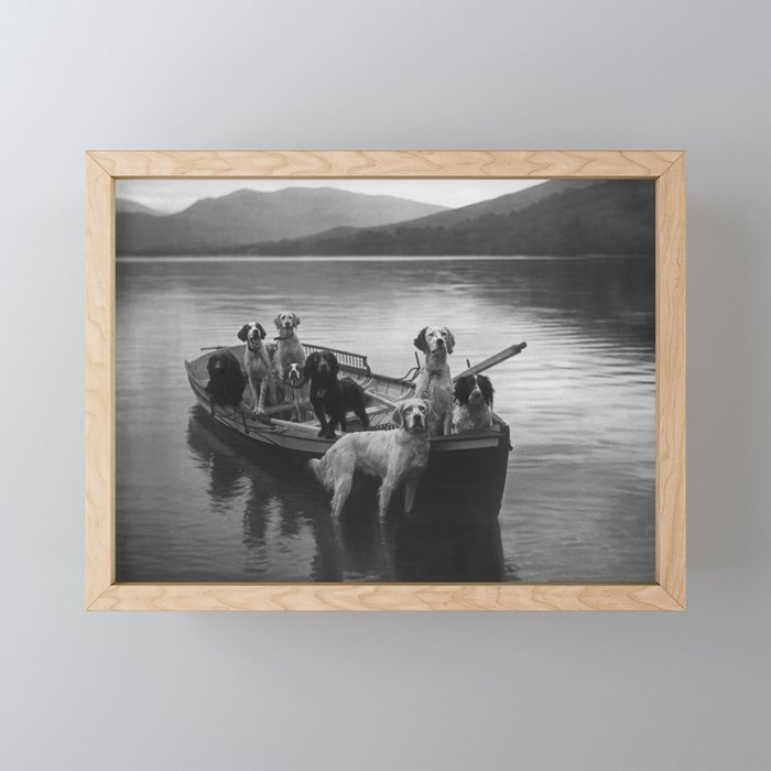 Dogs on a boat black and white canine photograph portrait - photographs - photography Mini Art Print Gallery Image 1