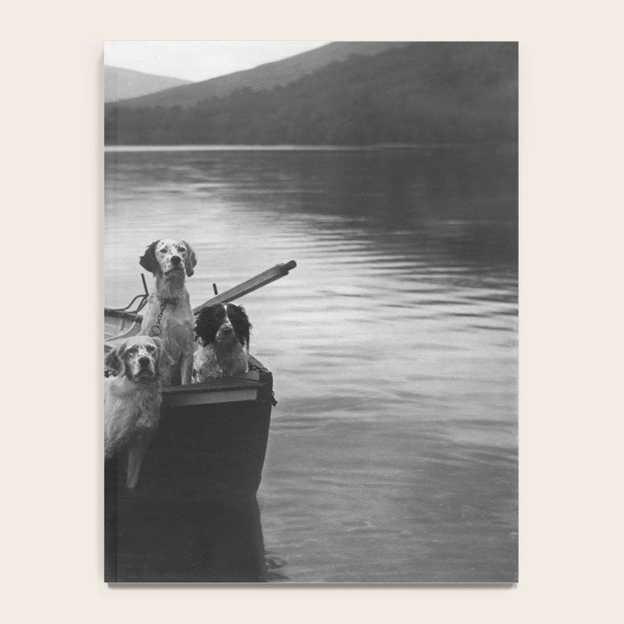 Dogs on a boat black and white canine photograph portrait - photographs - photography Notebook Gallery Image 4