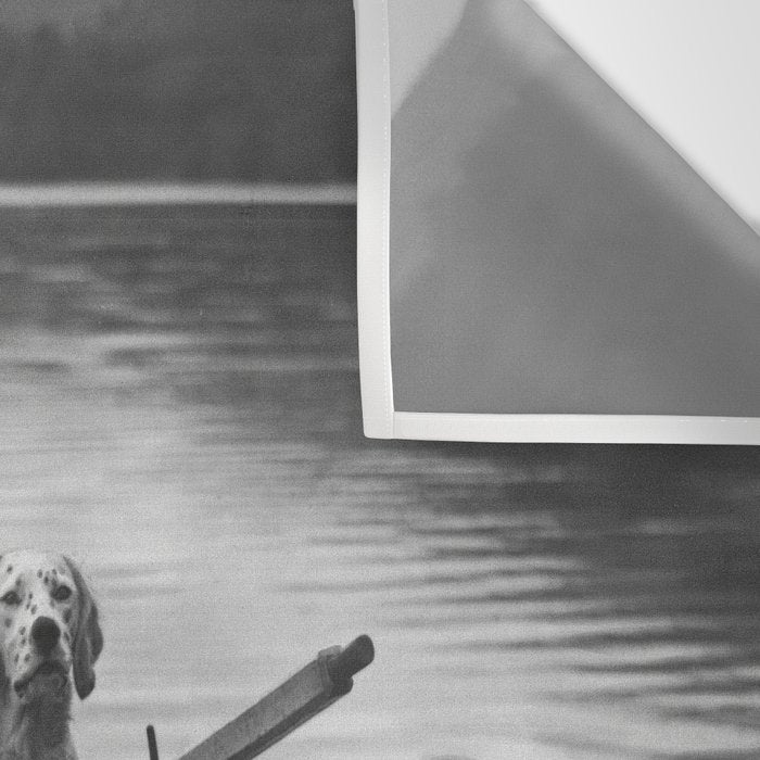 Dogs on a boat black and white canine photograph portrait - photographs - photography Wall Tapestry Gallery Image 3