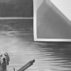 Dogs on a boat black and white canine photograph portrait - photographs - photography Wall Tapestry Gallery Image 3
