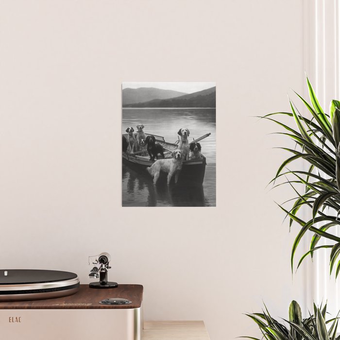 Dogs on a boat black and white canine photograph portrait - photographs - photography Poster Gallery Image 2