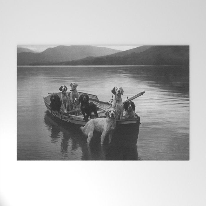 Dogs on a boat black and white canine photograph portrait - photographs - photography Welcome Mat Gallery Image 1