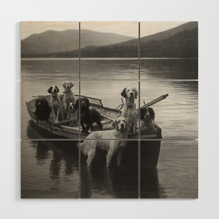 Dogs on a boat black and white canine photograph portrait - photographs - photography Wood Wall Art Gallery Image 1