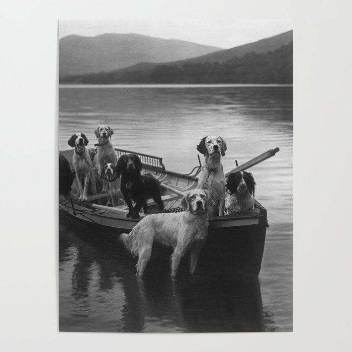 Dogs on a boat black and white canine photograph portrait - photographs - photography Poster Gallery Image 4