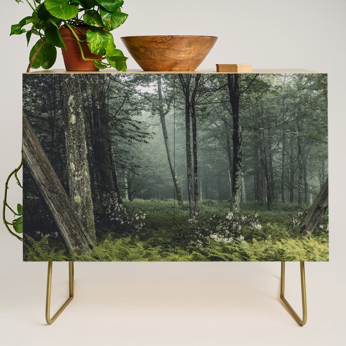 Forest Melody - Appalachian Mountains  Credenza Gallery Image 1