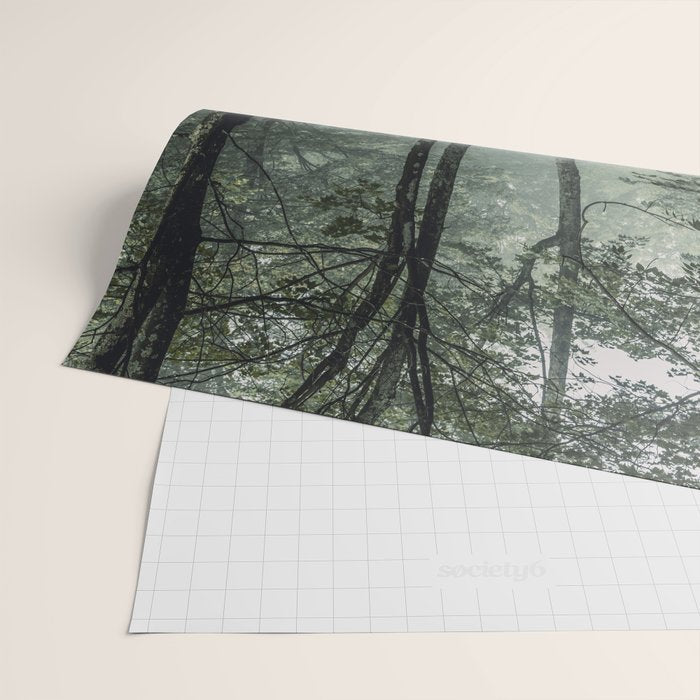Forest Melody - Appalachian Mountains  Wrapping Paper Gallery Image 2
