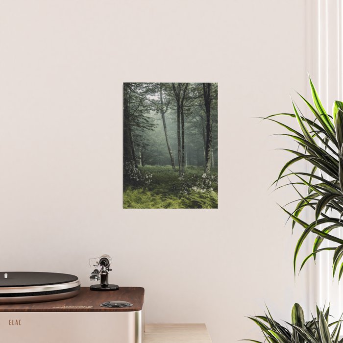 Forest Melody - Appalachian Mountains  Poster Gallery Image 2