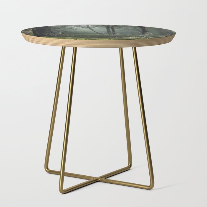 Forest Melody - Appalachian Mountains  Side Table Gallery Image 1