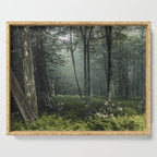 Forest Melody - Appalachian Mountains  Serving Tray Gallery Image 1
