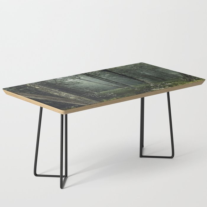 Forest Melody - Appalachian Mountains  Coffee Table Gallery Image 1