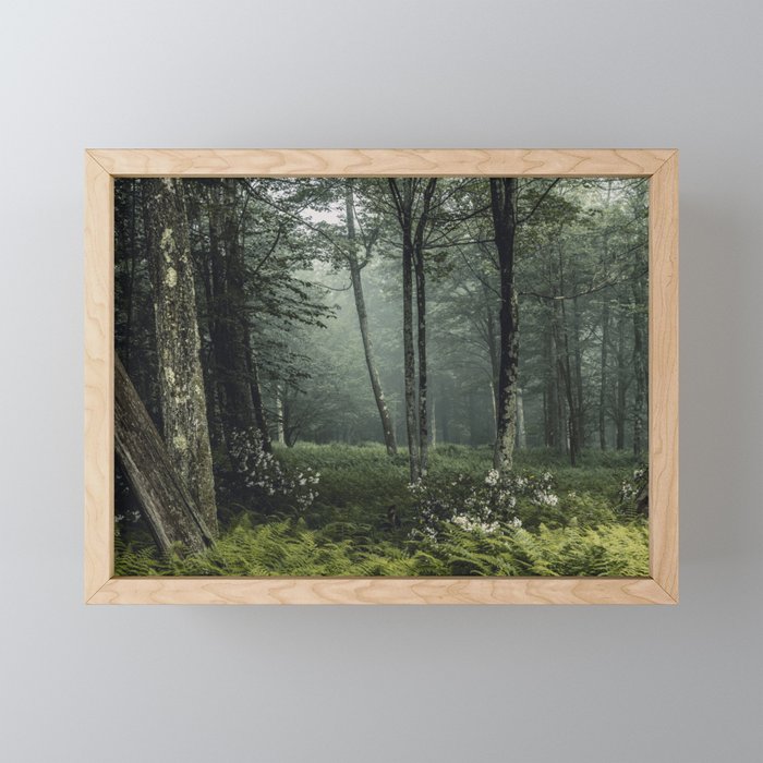 Forest Melody - Appalachian Mountains  Mini Art Print Gallery Image 1
