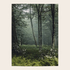 Forest Melody - Appalachian Mountains  Poster Gallery Image 4