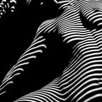 0077s-DJA Abstract Photograph of Seated Woman Striped by Light and Shade Coffee Mug Gallery Image 2