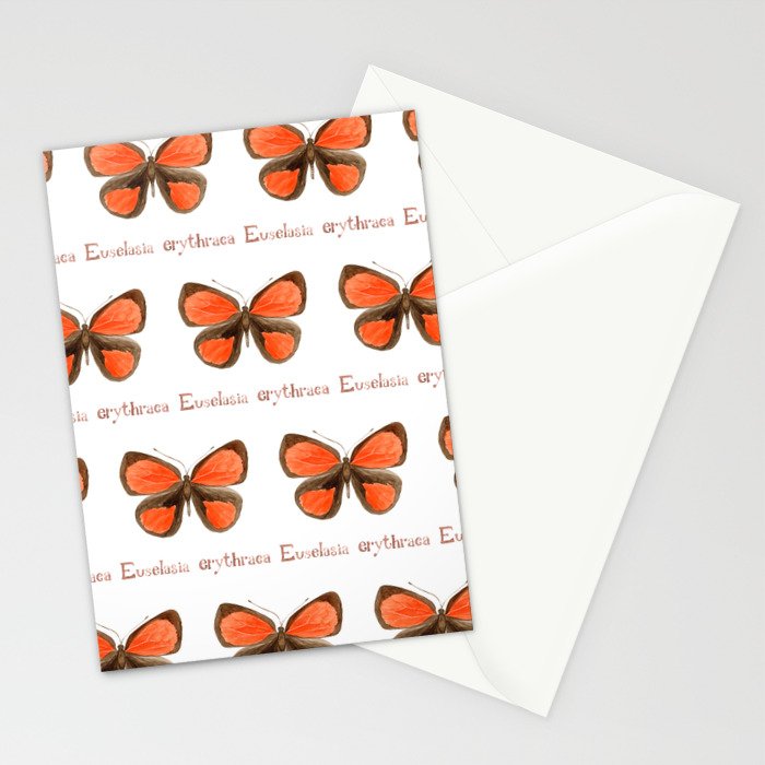 Butterfly - Euselasia erythraea Stationery Card Gallery Image 2