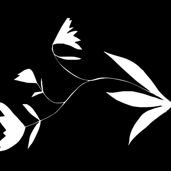 Fading Spring In Black  Coffee Mug Gallery Image 2