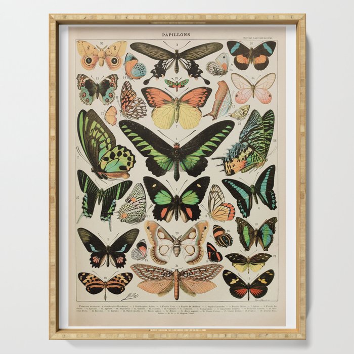 Papillon II Vintage French Butterfly Chart by Adolphe Millot Serving Tray Gallery Image 1