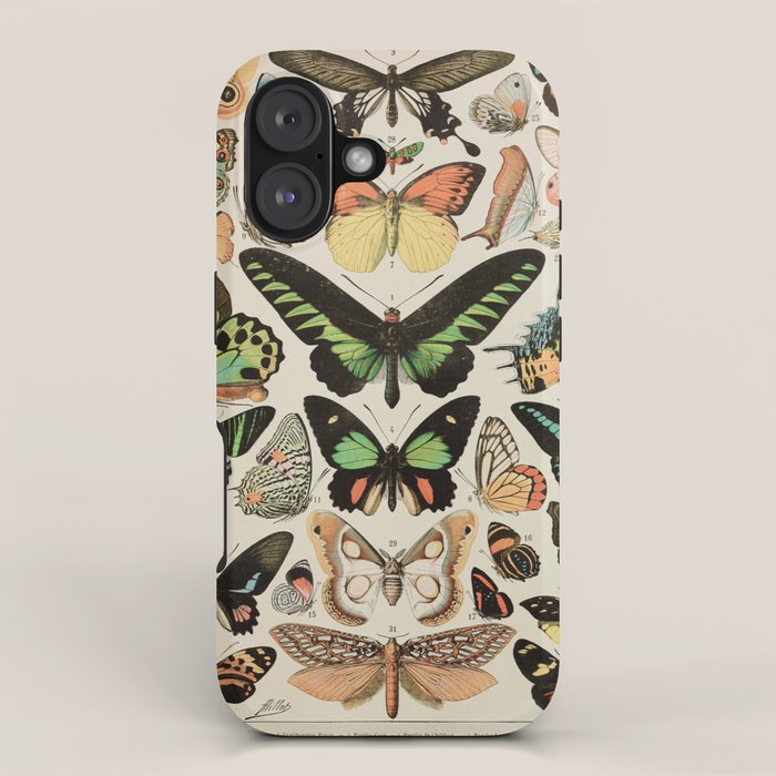 Papillon II Vintage French Butterfly Chart by Adolphe Millot iPhone Case Gallery Image 1