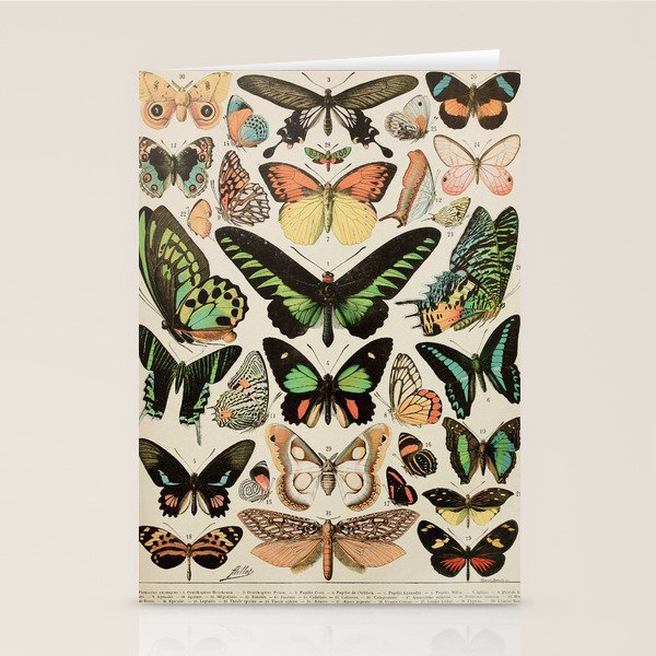Papillon II Vintage French Butterfly Chart by Adolphe Millot Stationery Card Gallery Image 2