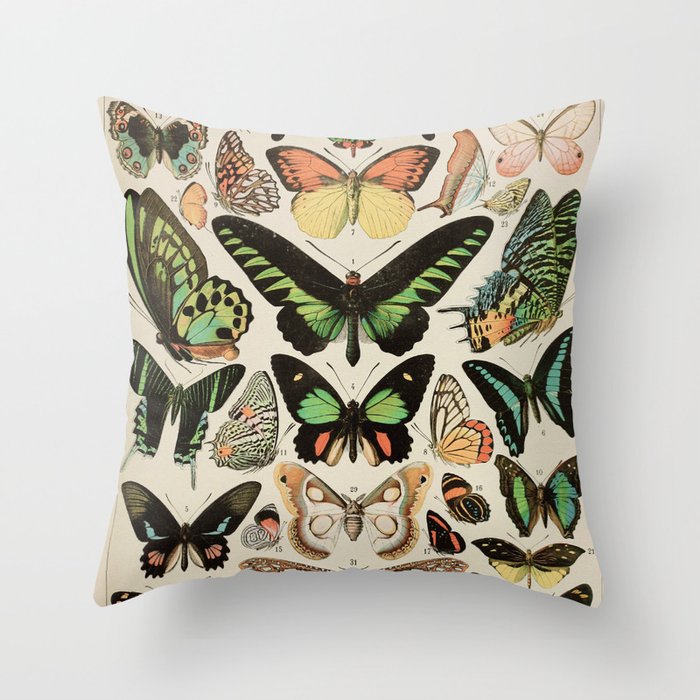 Papillon II Vintage French Butterfly Chart by Adolphe Millot Throw Pillow Gallery Image 6