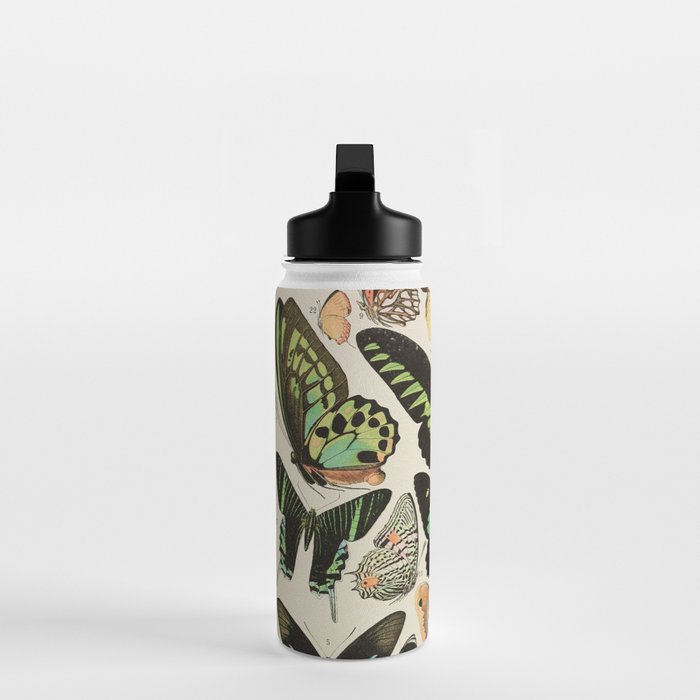 Papillon II Vintage French Butterfly Chart by Adolphe Millot Water Bottle Gallery Image 3