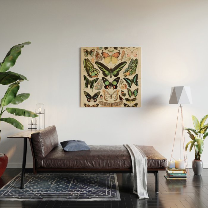 Papillon II Vintage French Butterfly Chart by Adolphe Millot Wood Wall Art Gallery Image 2