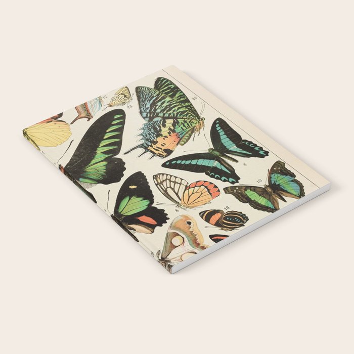 Papillon II Vintage French Butterfly Chart by Adolphe Millot Notebook Gallery Image 2