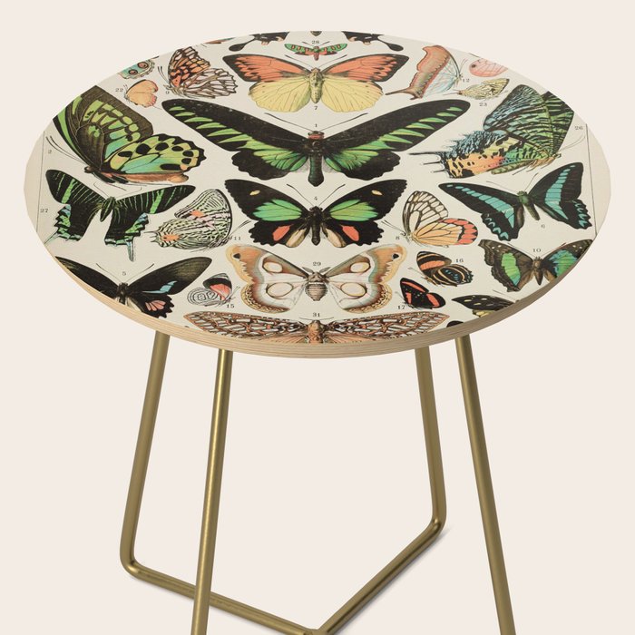 Papillon II Vintage French Butterfly Chart by Adolphe Millot Side Table Gallery Image 2