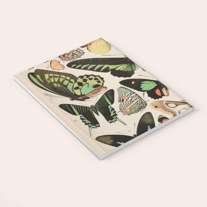 Papillon II Vintage French Butterfly Chart by Adolphe Millot Notebook Gallery Image 3