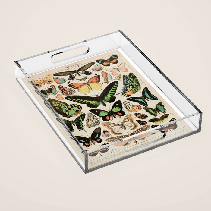 Papillon II Vintage French Butterfly Chart by Adolphe Millot Acrylic Tray Gallery Image 1
