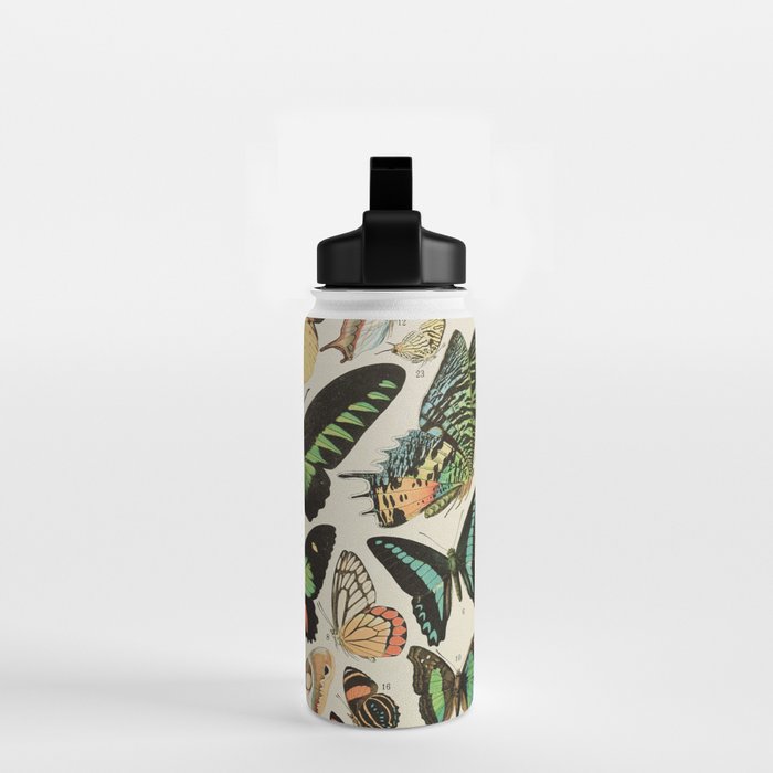 Papillon II Vintage French Butterfly Chart by Adolphe Millot Water Bottle Gallery Image 2