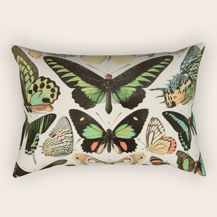 Papillon II Vintage French Butterfly Chart by Adolphe Millot Rectangular Pillow Gallery Image 2