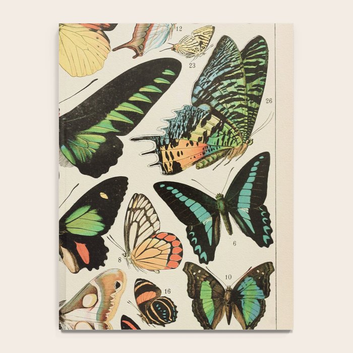 Papillon II Vintage French Butterfly Chart by Adolphe Millot Notebook Gallery Image 4