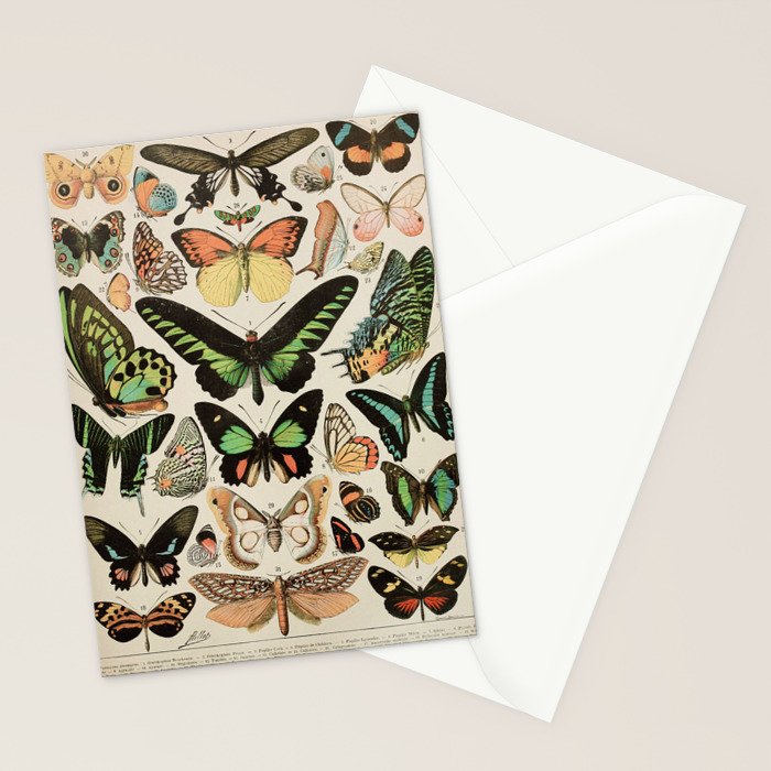 Papillon II Vintage French Butterfly Chart by Adolphe Millot Stationery Card Gallery Image 2