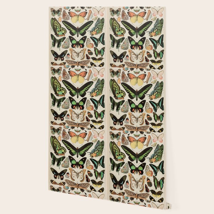 Papillon II Vintage French Butterfly Chart by Adolphe Millot Wallpaper Gallery Image 2