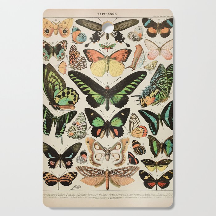 Papillon II Vintage French Butterfly Chart by Adolphe Millot Cutting Board Gallery Image 1
