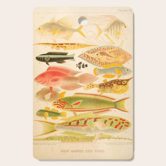 Fishes from âThe Great Barrier Reef of Australiaâ by William Saville Kent, 1893 Cutting Board Gallery Image 1