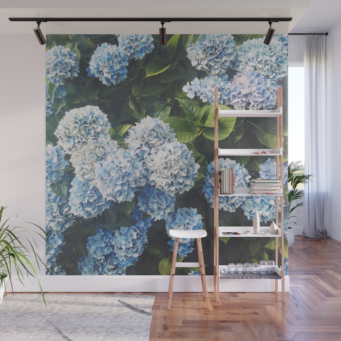 Blue Hydrangea Wall Mural Gallery Image 1