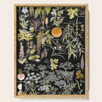 Adolphe Millot - Plantes dangereuses B (dangerous plants B) Serving Tray Gallery Image 1