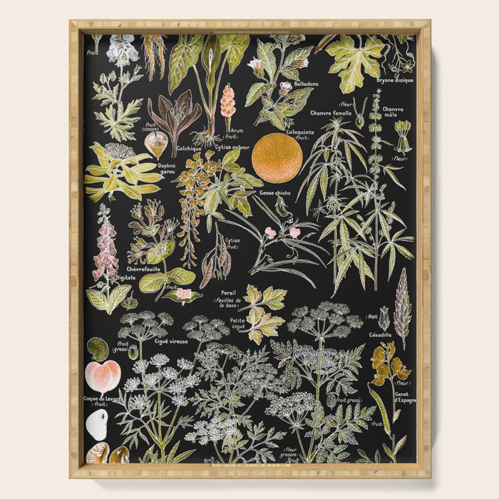 Adolphe Millot - Plantes dangereuses B (dangerous plants B) Serving Tray Gallery Image 1